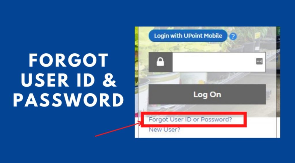 retrieve user id and password